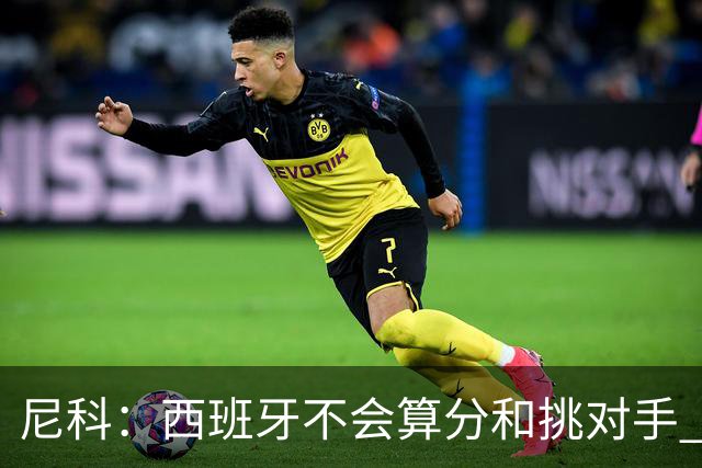 尼科：西班牙不会算分和挑对手 梅西的表现并不令我意外